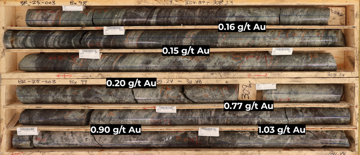Figure 3 – Hole BR25-003 at 305m. Intensely altered gold-mineralized skarn horizon dominated by retrograde chlorite-actinolite-quartz alteration.