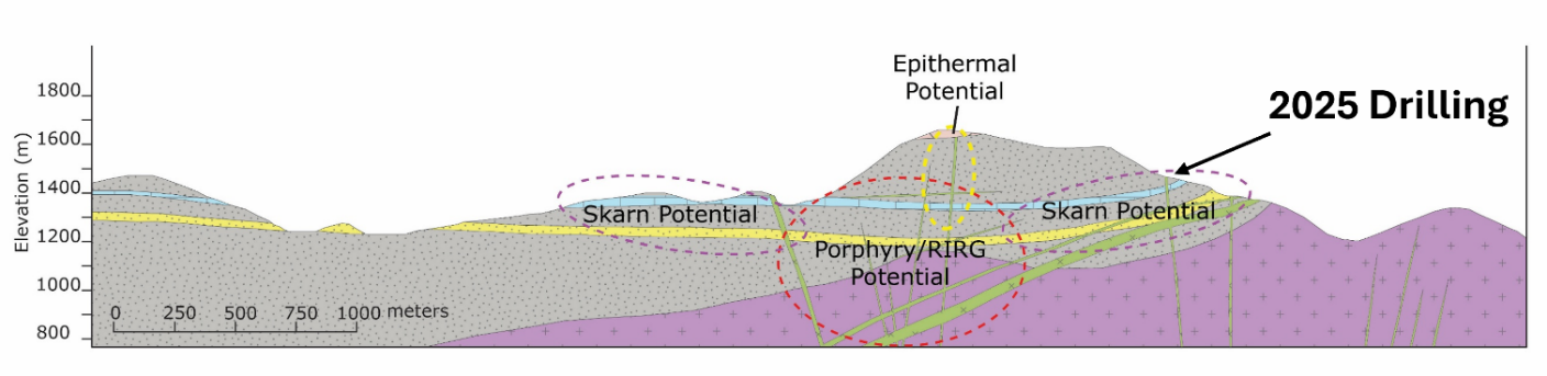 Figure 6 – Schematic cross-section across the Birch Project looking to the NW, showing key intrusive and metasedimentary units.