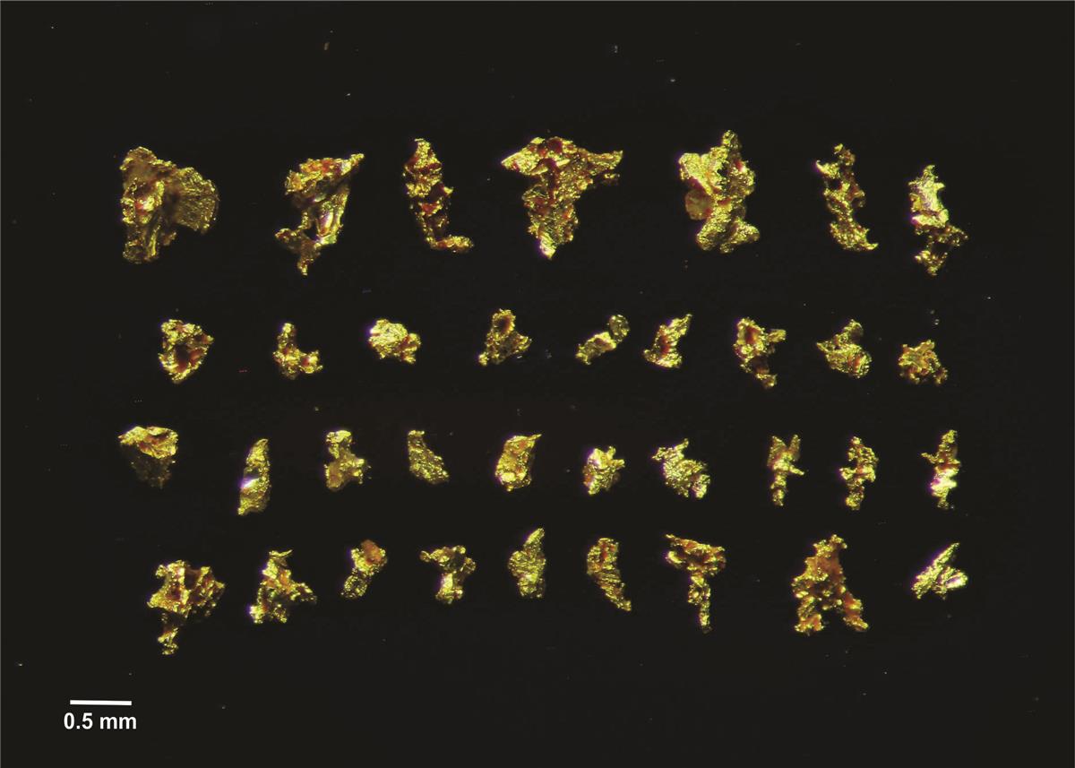 A group of gold nuggets Description automatically generated