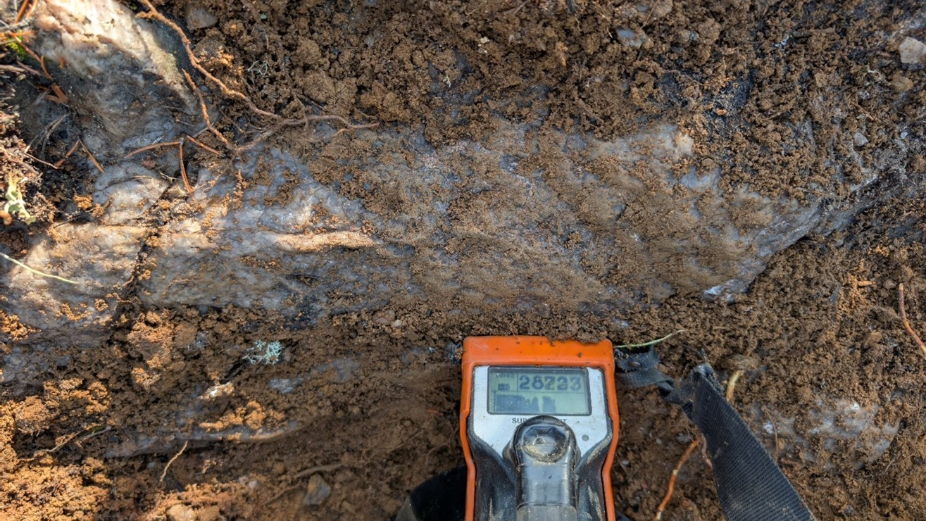 Newly discovered quartz-rich pegmatitic orthogneiss outcrop reaching upwards of 28,200 cps along the northern conductor trend (13V 418817 E, 6277511 N). Outcrop was partially under soil cover.
