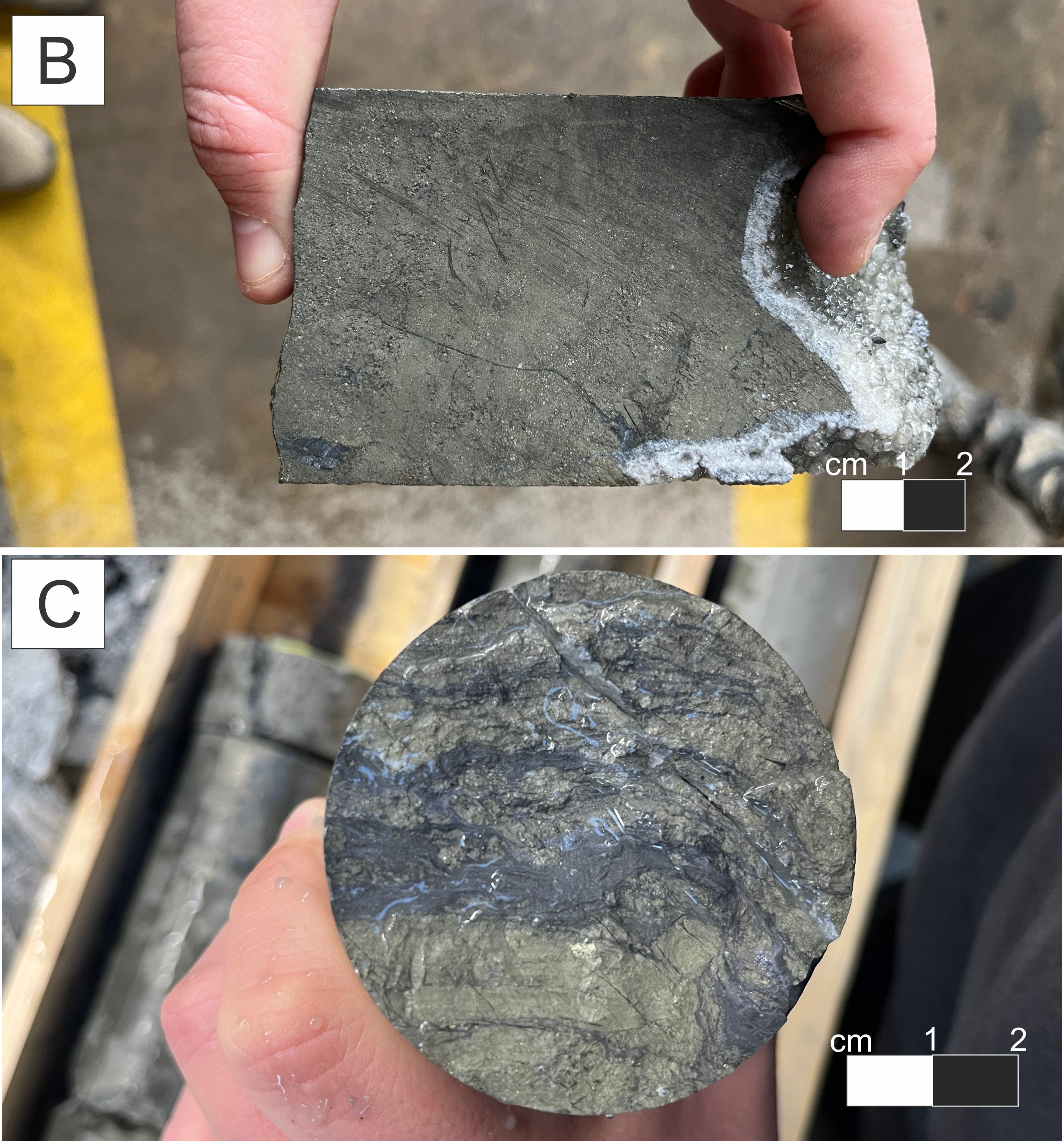 250714_Figure 5 Cont'd