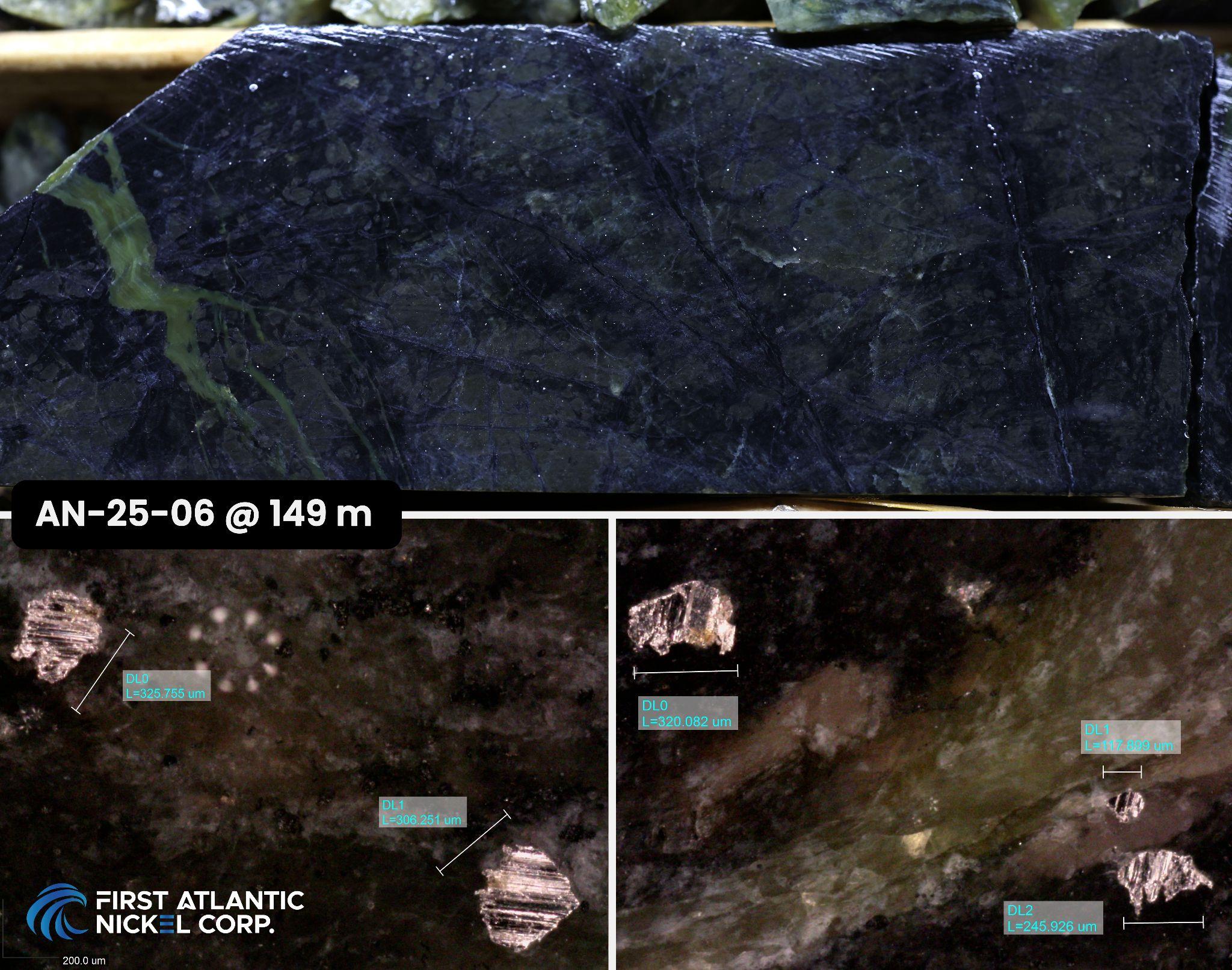 Drillcore and microscopic images – Hole AN-25-06, 149 meters depth (RPM Zone). Top image: Drill core showing visibly disseminated awaruite (sulfur-free nickel-iron alloy) hosted in serpentinized peridotite, with associated magnetite and serpentine veining. Bottom images: Microscopic images of awaruite grains from the same interval, with individual grains measuring up to 325 microns in size.