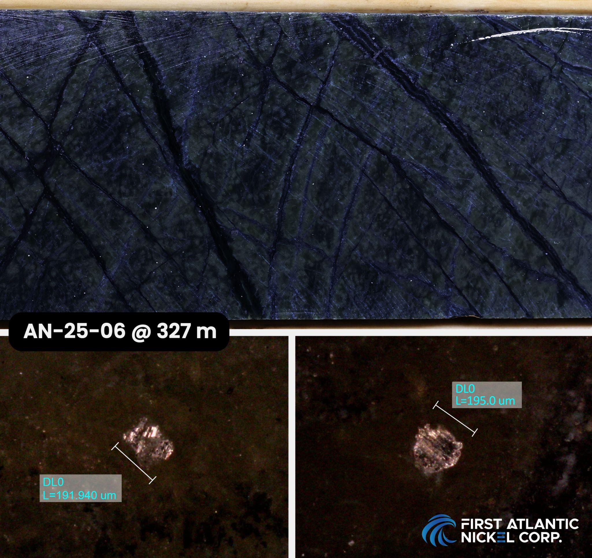 Drill core and microscopic images – Hole AN-25-06, 327 meters depth (RPM Zone). Top image: Drill core showing visibly disseminated awaruite (sulfur-free nickel-iron alloy) hosted in serpentinized peridotite with associated magnetite veining. Bottom images: Microscopic images of awaruite grains from the same interval, with individual grains measuring up to 195 microns in size.