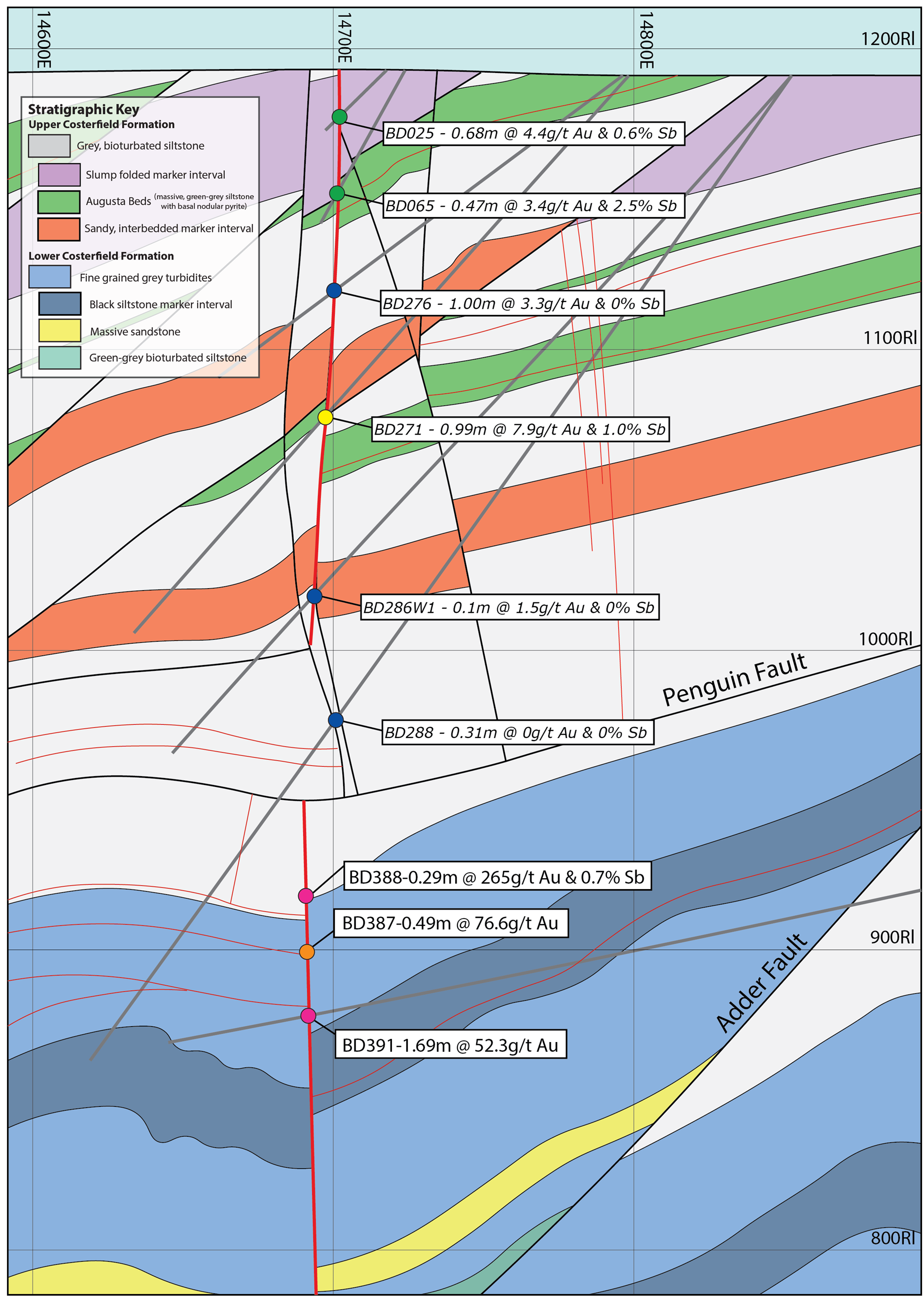 Cross section at 5350N (at BD391) through the Brunswick South system, with the two other intercepts of the program shown diagrammatically. The stratigraphy presented up-dip is repeated over several early thrust faults, which are crosscut by later subvertical faults and the Brunswick vein itself. Annotations describe the intercepts grade over an estimated true width.