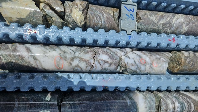 25DDH-SEL-030 at 40m, showing crack-seal veining and visible gold occurrences marked with red marker.