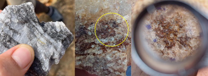Left. Artisanal miners’ ore1 sample with visible gold on the Puma Target. Middle, ore pile sample from the Aplito prospect grading 675 g/t Au2, showing weathered sulphides and visible gold. Right, same sample as middle photo but viewed thro