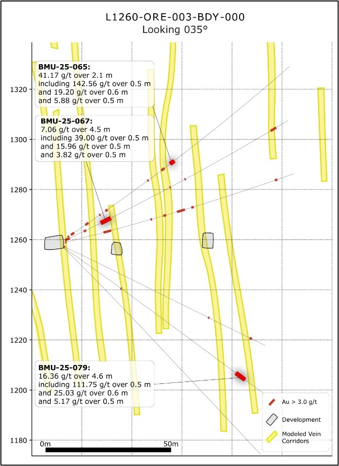 Osisko Development Corp