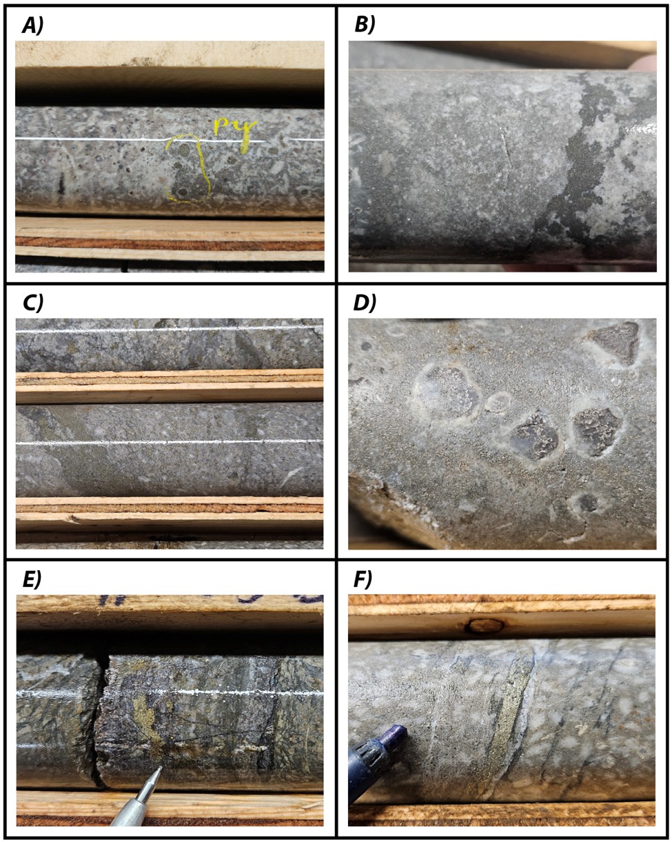 Examples of quartz-sericite-pyrite alteration and mineralization. A) Quartz-sericite-pyrite altered andesitic volcanics. Pyrite as disseminations and blebs (DD25CYP001 – 213.3 m). B) Abundant fine disseminated pyrite within strongly quartz-sericite altered andesites (DD25CYP001 – 229.9 m). C) Abundant disseminated to semi-massive pyrite within strongly quartz-sericite altered andesites (DD25CYP001 – 373.3 m). D) Abundant fine disseminated pyrite replacing groundmass and at silica replacement sites (DD25CYP001 – 229.5 m). E) Blebby pyrite within silica-sericite altered andesite (DD25CYP003 - 243.2 m). F) Pyrite stringers in silica-sericite altered feldspar porphyry andesite (DD25CYP002 – 362 m).