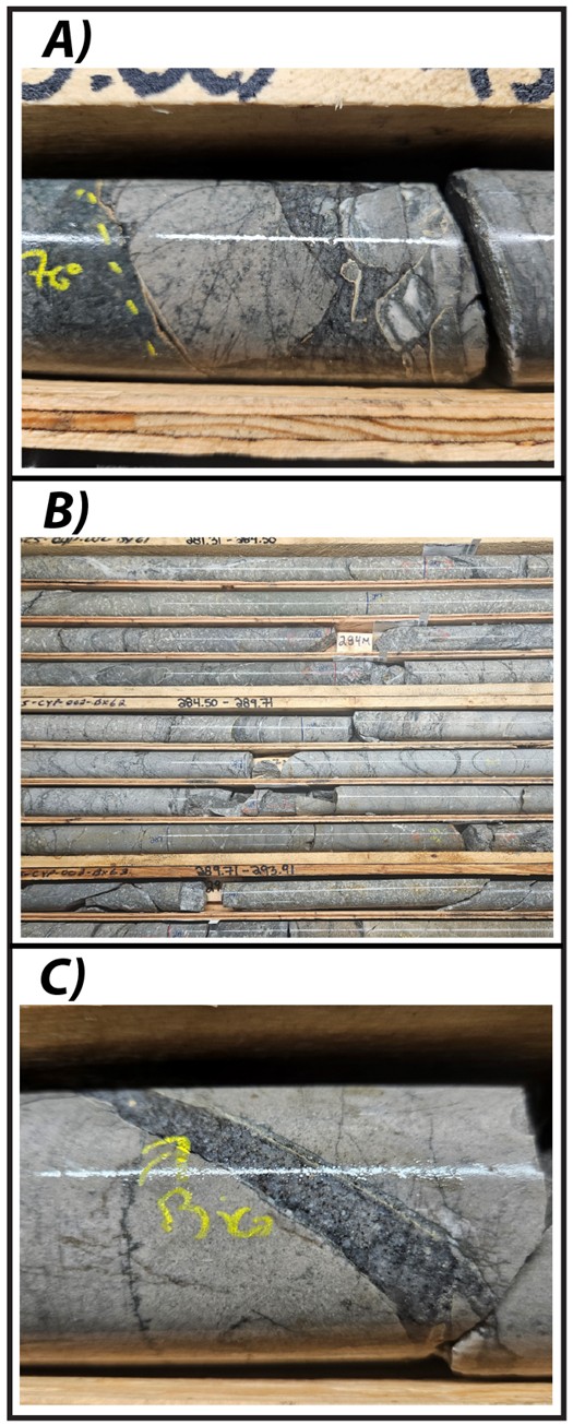 Examples of intrusions from February/March 2025 drilling. A) Intrusive breccia with strongly silica-sericite-pyrite altered clasts intruded by biotite-feldspar porphyry (DD25CYP003 – 453.3 m). B) Monzonitic intrusive rocks with sooty pyrite veining (DD25CYP002 – 281 to 292 m). C) Biotite-felspar porphyry dikelet with strongly silica-sericite-pyrite altered wallrock (DD25CYP003 – 453.5 m).