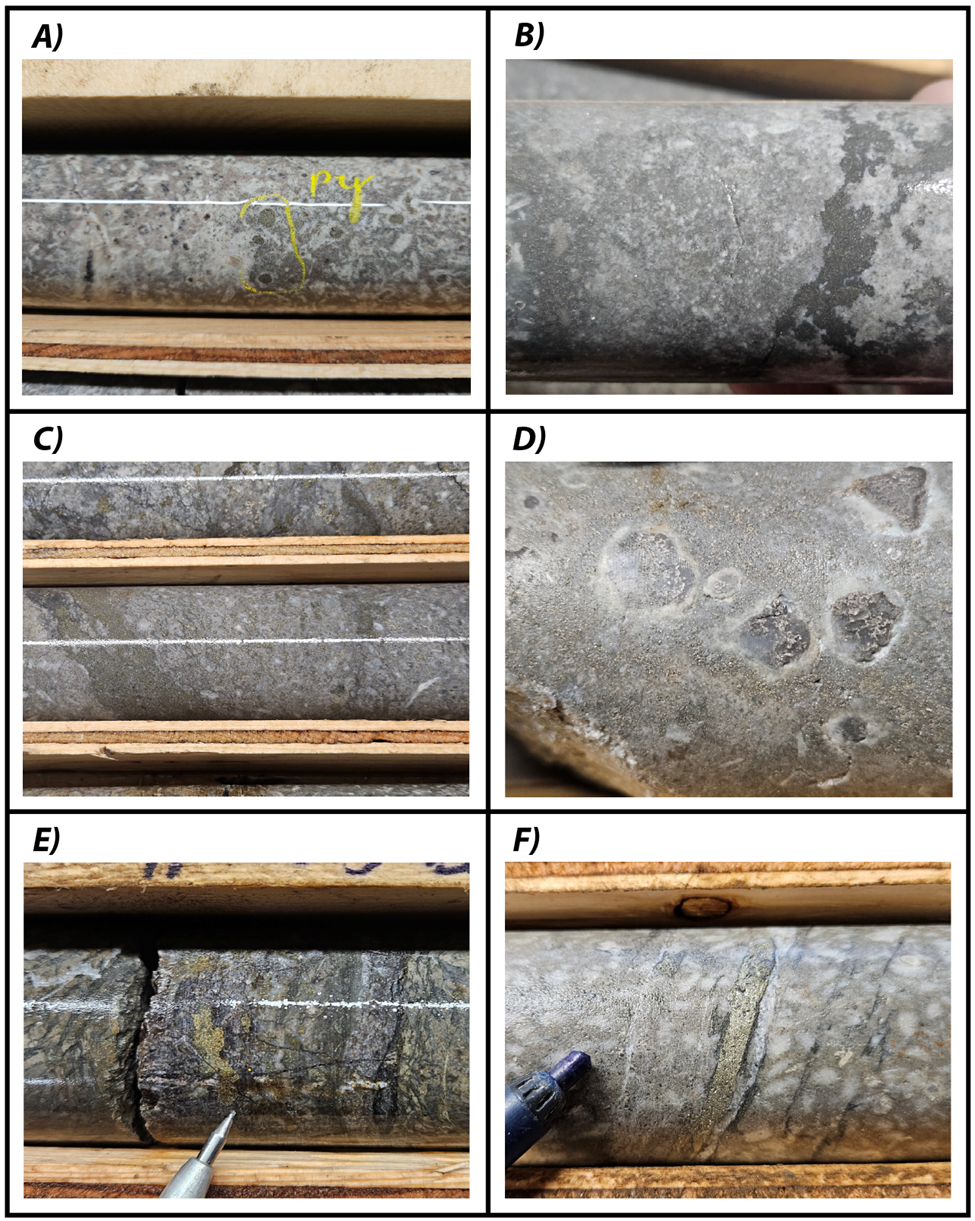Examples of quartz-sericite-pyrite alteration and mineralization encountered in February/March 2025 drilling. A) Quartz-sericite-pyrite altered andesitic volcanics. Pyrite as disseminations and blebs (DD25CYP001 – 213.3 m). B) Abundant fine disseminated pyrite within strongly quartz-sericite altered andesites (DD25CYP001 – 229.9 m). C) Abundant disseminated to semi-massive pyrite within strongly quartz-sericite altered andesites (DD25CYP001 – 373.3 m). D) Abundant fine disseminated pyrite replacing groundmass and at silica replacement sites (DD25CYP001 – 229.5 m). E) Blebby pyrite within silica-sericite altered andesite (DD25CYP003 - 243.2 m). F) Pyrite stringers in silica-sericite altered feldspar porphyry andesite (DD25CYP002 – 362 m).
