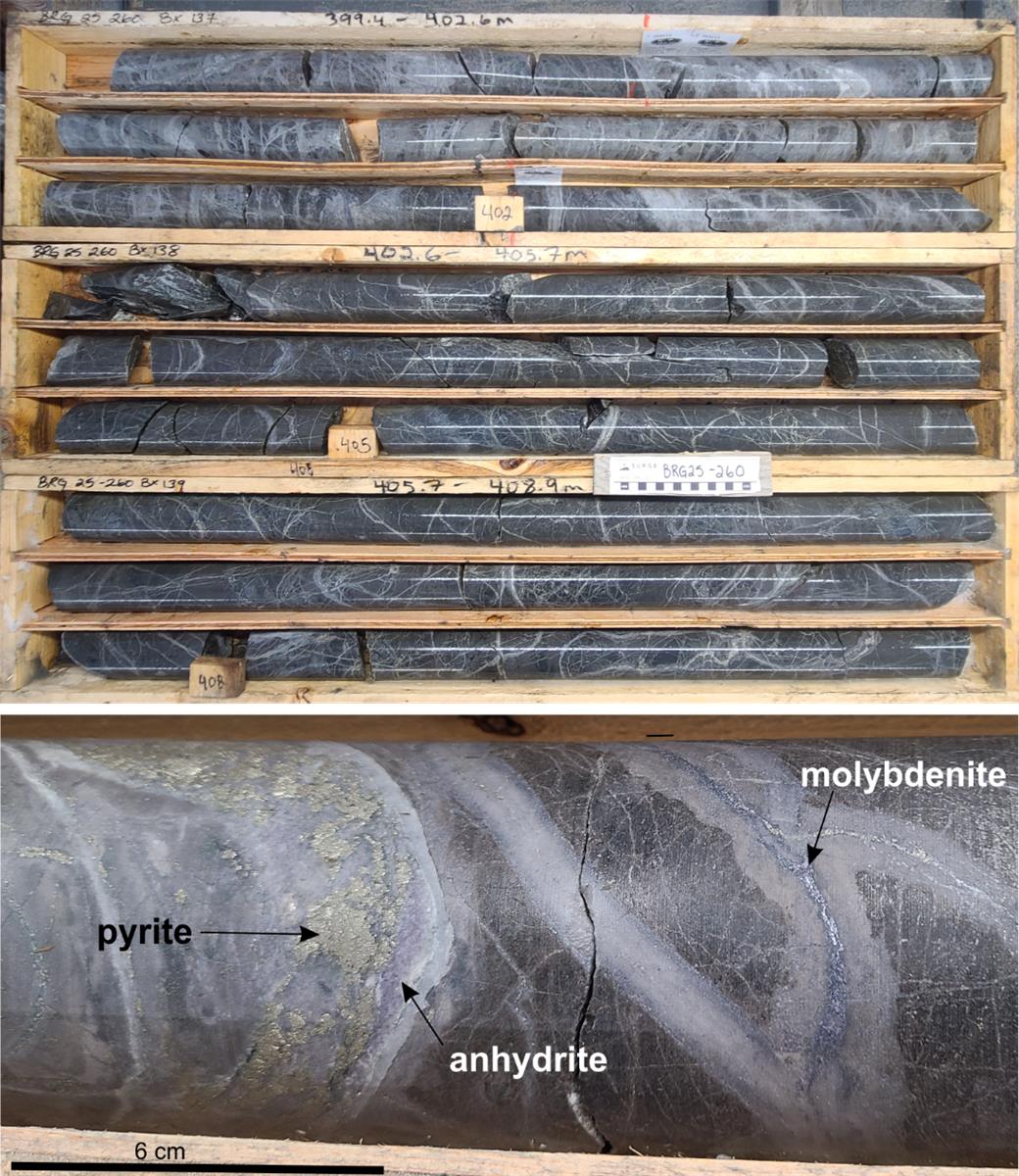 A close up of a shelf AI-generated content may be incorrect.