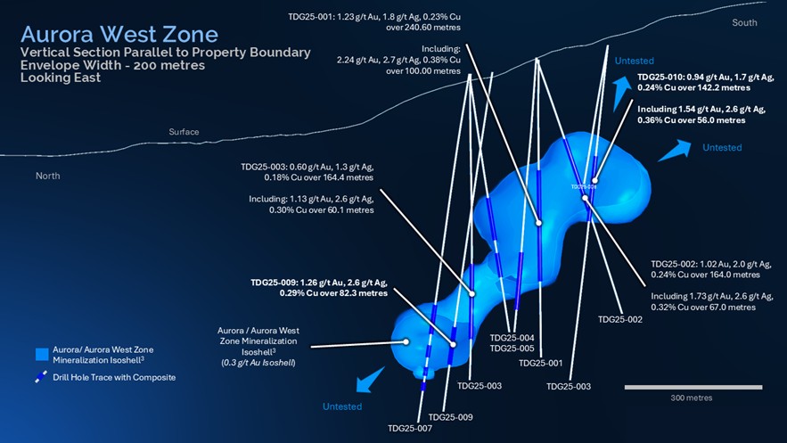 TDGNR2025-21 - Figure 2